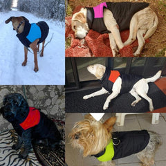 Stylish Waterproof Winter Jacket for Small Dogs - Cozy Vest for Chihuahuas and Puppies