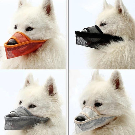 Mesh Cover for Dogs During Walks and Training Sessions shown on a white dog in orange, black, grey and beige mesh options