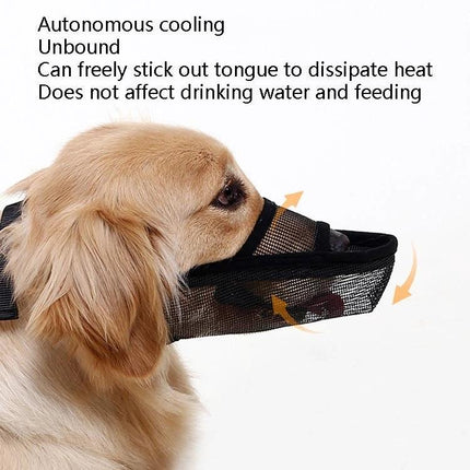Mesh Cover for Dogs During Walks and Training Sessions shown on a golden dog allowing panting drinking and feeding comfortably