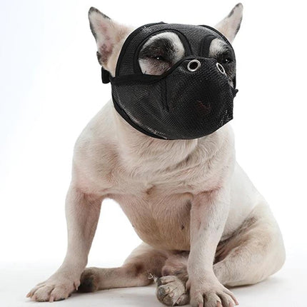 Mouth Cover for Flat-Faced Dogs During Daily Walks — breathable PVC net muzzle on a bulldog to prevent scavenging while allowing airflow