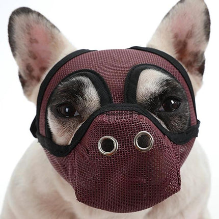 Mouth Cover for Flat-Faced Dogs During Daily Walks - breathable PVC net muzzle keeping Bulldogs and Pugs safe on urban walks