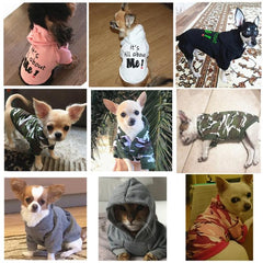 Cozy Fleece Teddy Hoodie Sweater for Small to Medium Dogs