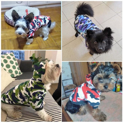 Warm Cotton Dog Hoodie for Everyday Pet Outings and Play - four small dogs wearing colorful camo cotton hoodies for park walks and backyard play