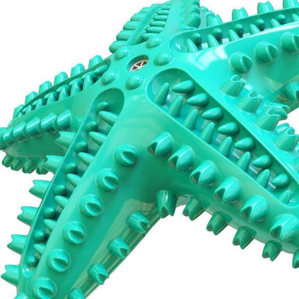 Starfish Voice Dog Toy for Everyday Play and Teeth Cleaning - turquoise textured chew toy for dental care and play