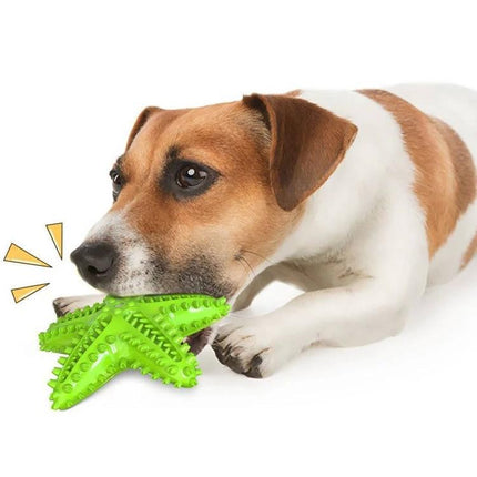 Starfish Voice Dog Toy for Everyday Play and Teeth Cleaning - green starfish chew toy being squeaked by a small dog promoting dental cleaning and play