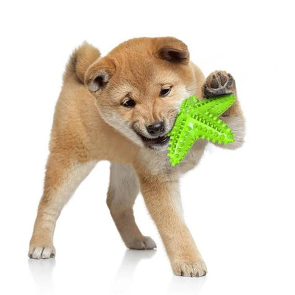Starfish Voice Dog Toy for Everyday Play and Teeth Cleaning - puppy chewing green starfish-shaped dental chew toy