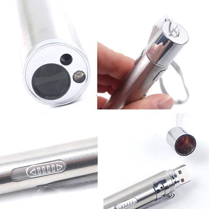 Fun Laser Stick Toy for Cats During Home Play Sessions compact multi-light silver laser pointer with white flashlight and purple UV function