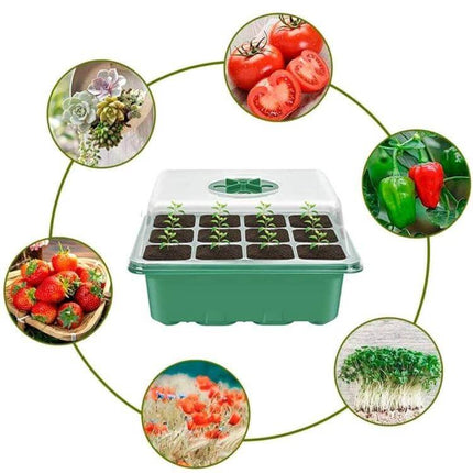 11 Piece Seedling Cultivation Tools Set for Home Gardening with green nursery box, clear dome and tray of seedlings for balcony vegetables and flowers