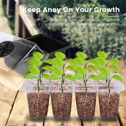11 Piece Seedling Cultivation Tools Set for Home Gardening showing transparent nursery trays with seedlings and breathable compact pots