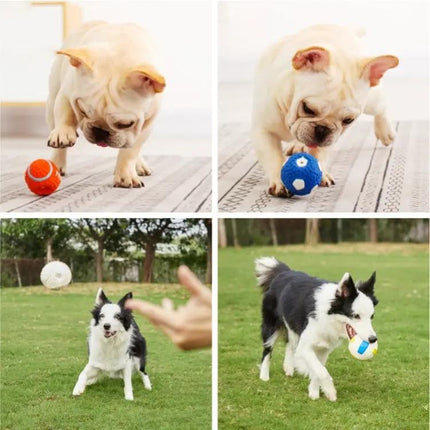 Latex Sound Balls for Daily Dog Play and Interaction | Syndmart