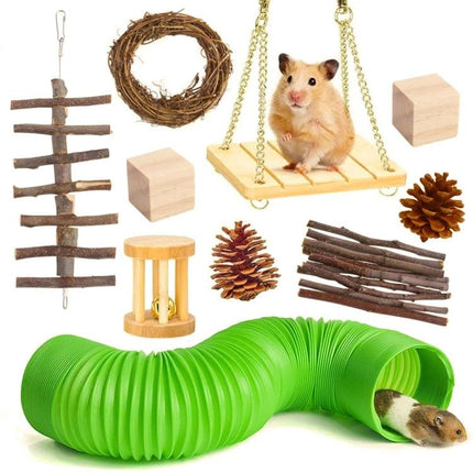 Essential Wooden Toys for Small Pets at Home Daily - hamster on wooden swing with pine cones, blocks, sticks and green play tunnel