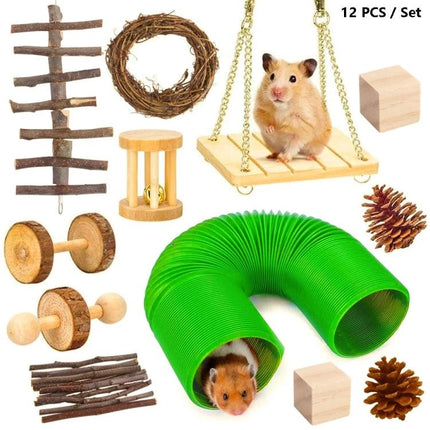 Essential Wooden Toys for Small Pets at Home Daily - hamster on swing with wooden chew blocks, pine cones, tunnel and ladder set