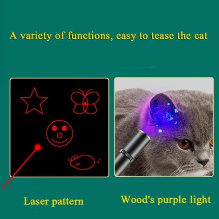 Compact Laser Tool for Cat Play and Home Detection Tasks showing star and shape laser patterns and purple light scanning a cat's fur