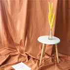 1 x 2.4m / Light Coffee