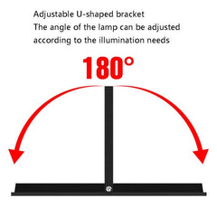 High-Power Waterproof LED Floodlight for Outdoor Advertising and Garden Illumination