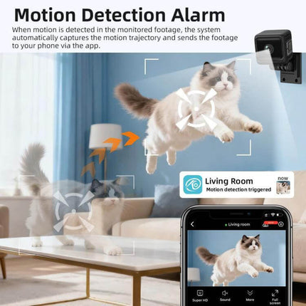 Mini Wireless Battery-Powered Camera for Home Security showing motion-detection of a cat with app alert and wall-mounted camera