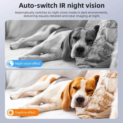 Mini Wireless Battery-Powered Camera for Home Security showing night vision and daytime pet monitoring with remote smartphone alerts