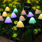 5m 20 LEDs / Colorful Light