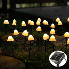 6.5m 30 LEDs / Warm White Light