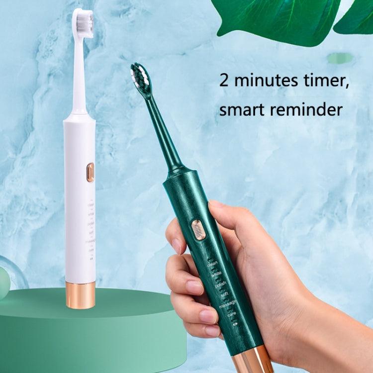 Couples USB Sonic Electric Toothbrush AW-175 for Adults