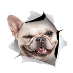 White Dog