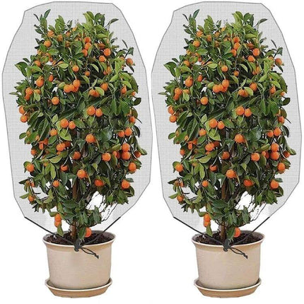 Plant Insect Cover Net With Drawstring For Greenhouse 1x1.2m protecting potted citrus trees from insects and birds, breathable nylon mesh