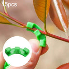 15 PCS / Green