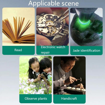 Handheld LED Magnifier for Everyday Reading and Close Inspection showing book reading, watch repair, jade inspection, plant observation and handicraft