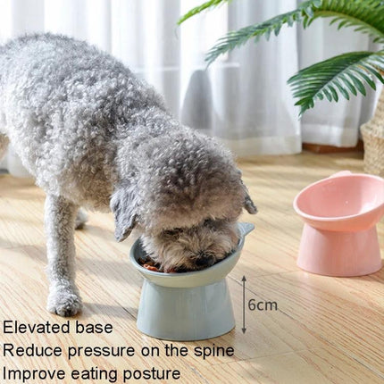 Practical Elevated Cat Food Bowl for Daily Home Use - grey elevated PP bowl on floor with small dog eating, ergonomic 6cm height