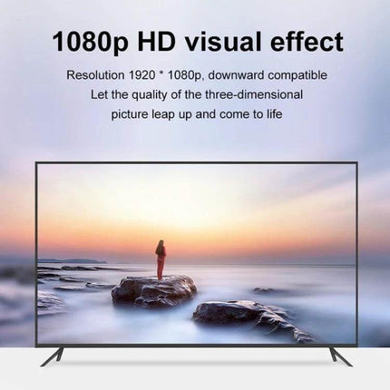 HDMI to VGA Adapter with Audio for Monitors and Projectors showing 1080p TV output and presenter on screen