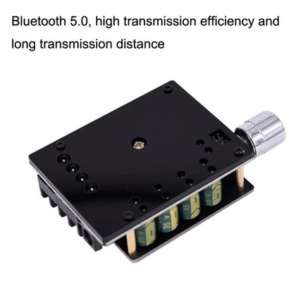 Mini Bluetooth Amplifier Board with Volume Adjustment Knob shown as compact black PCB module with silver volume knob and capacitors
