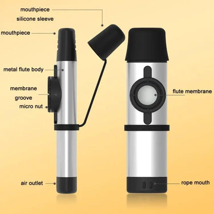 A Versatile Tunable Kazoo for Everyday Musical Enjoyment and Practice
