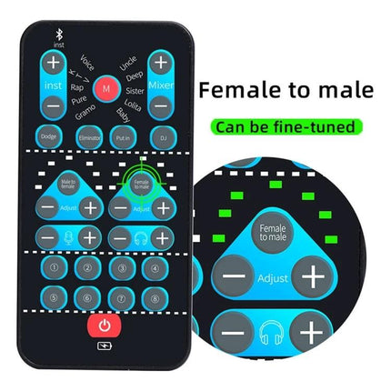 A Versatile Voice Changer for Home Entertainment and Recordings - handheld remote showing Female to male adjust controls for karaoke and recordings