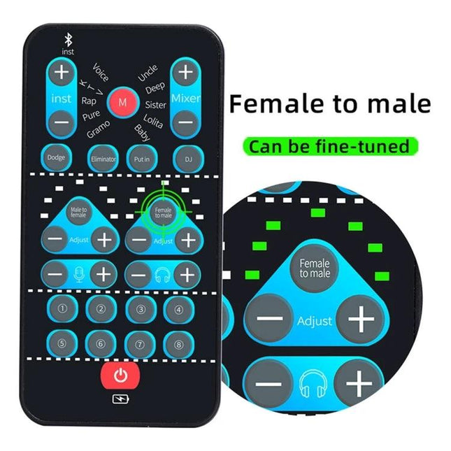 A Versatile Voice Changer for Home Entertainment and Recordings - handheld remote showing Female to male adjust controls for karaoke and recordings