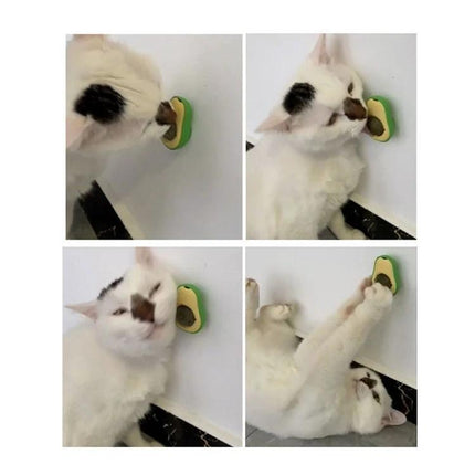 Avocado-Shaped Catnip Toy for Daily Cat Teeth Care and Play - cat chewing avocado-shaped plastic toy for dental care