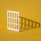 Pane