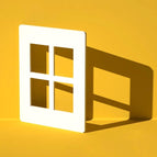 Simulation Window