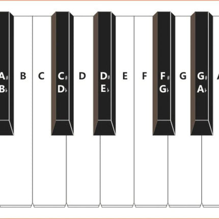 Piano Fingering Chart for Beginner Home Practice Essentials showing labeled piano keys and finger positions for beginner practice
