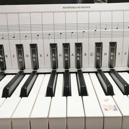 Piano Fingering Chart for Beginner Home Practice Essentials - reversible keyboard chart showing labeled keys and notes over piano keys for easy home practice