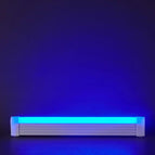 17cm / Blue Light
