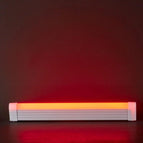 32cm / Red Light