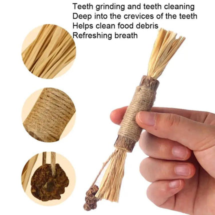 Cat Teething Stick for Everyday Play and Dental Care