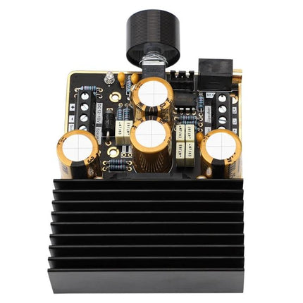DIY Car Audio Amplifier with 2.1 Channels for Vehicle Systems showing circuit board, gold-sunk wiring and heatsink for custom car audio builds