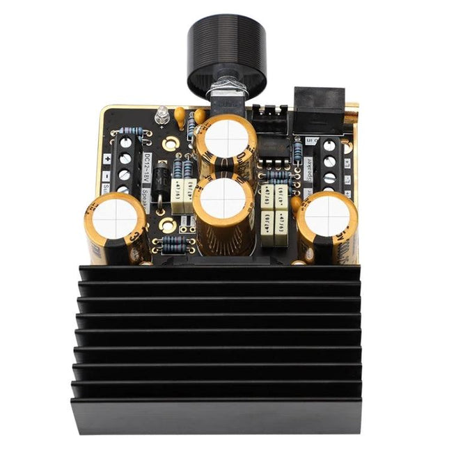 DIY Car Audio Amplifier with 2.1 Channels for Vehicle Systems showing circuit board, gold-sunk wiring and heatsink for custom car audio builds
