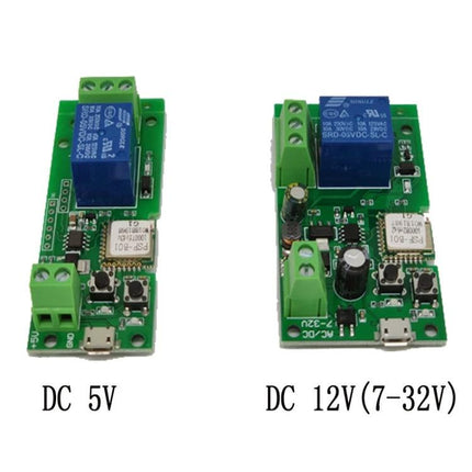 Sonoff Single Channel WiFi Smart Switch for Timing and Remote Control - DC 5V and DC 12V (7-32V) PCB modules shown