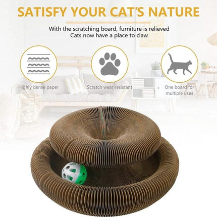 Versatile Organ-Shaped Scratching Board for Cats at Home - corrugated paper scratcher with toy, protects furniture and provides play/rest spot