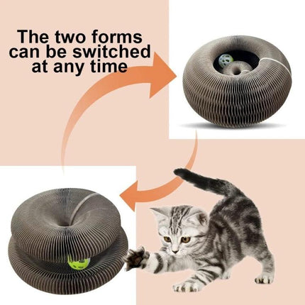 Versatile Organ-Shaped Scratching Board for Cats at Home – corrugated paper dual-form toy and resting spot with ball, protects furniture and soothes paws
