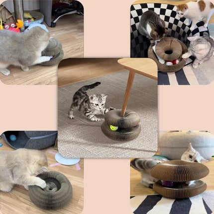 Versatile Organ-Shaped Scratching Board for Cats at Home - corrugated paper toy for scratching, play, and relaxation