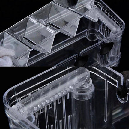 Peacock Fish Breeding Isolation Box Double Layer For Spawning clear high-transparency PS plastic self-floating isolation box for fry and spawning protection