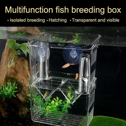 Peacock Fish Breeding Isolation Box Double Layer For Spawning clear self-floating double-layer isolation box with suction cups for protecting fry and eggs